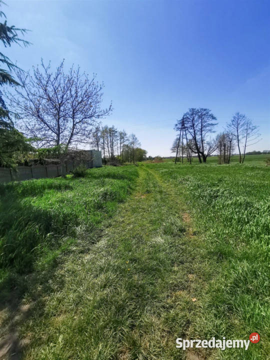 sprzedaży gruntu Złoczew 1254m2 sprzedam