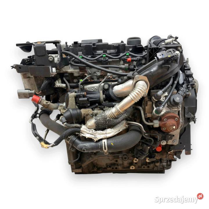SILNIK TZJB Ford Fiesta VI VII MK7 16 TDCI 95 Chełm