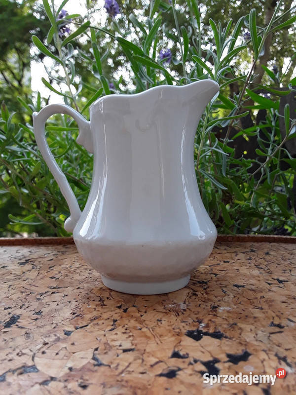 Mlecznik porcelanowy Włocławek Warszawa