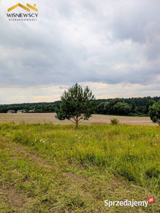 Działka rekreacyjna z widokiem na Jezioro Orkusz Sypanica