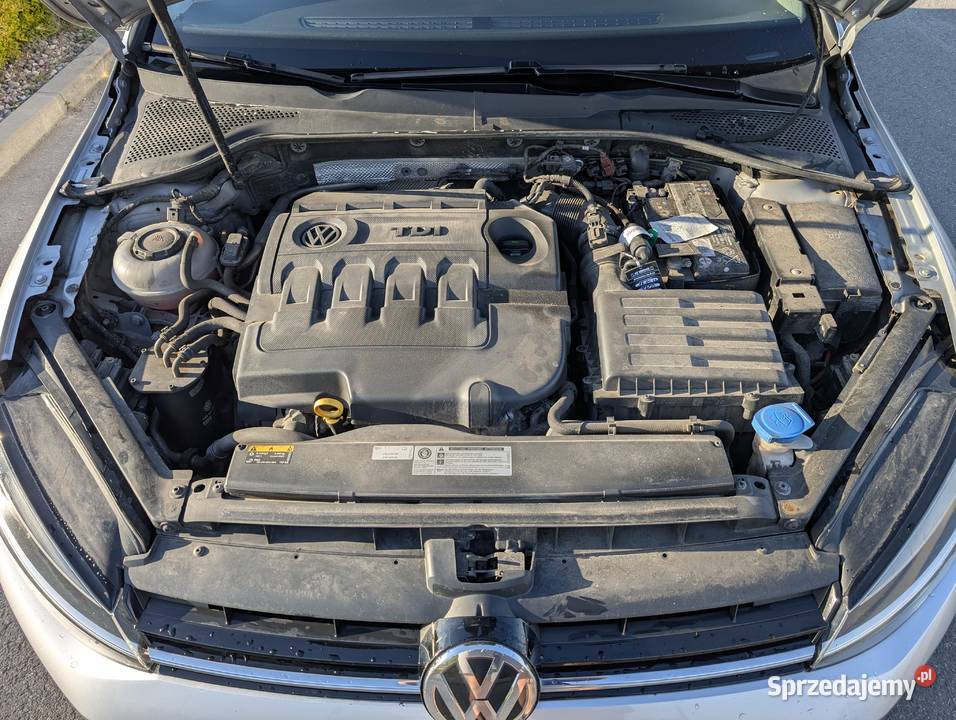 Volkswagen Golf 75 16tdi 115 Comfortline Polski Stargard