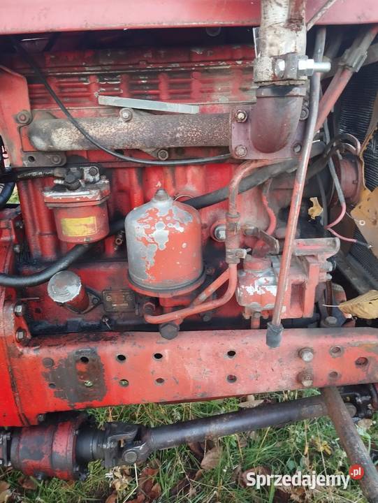 My 82 części Skała