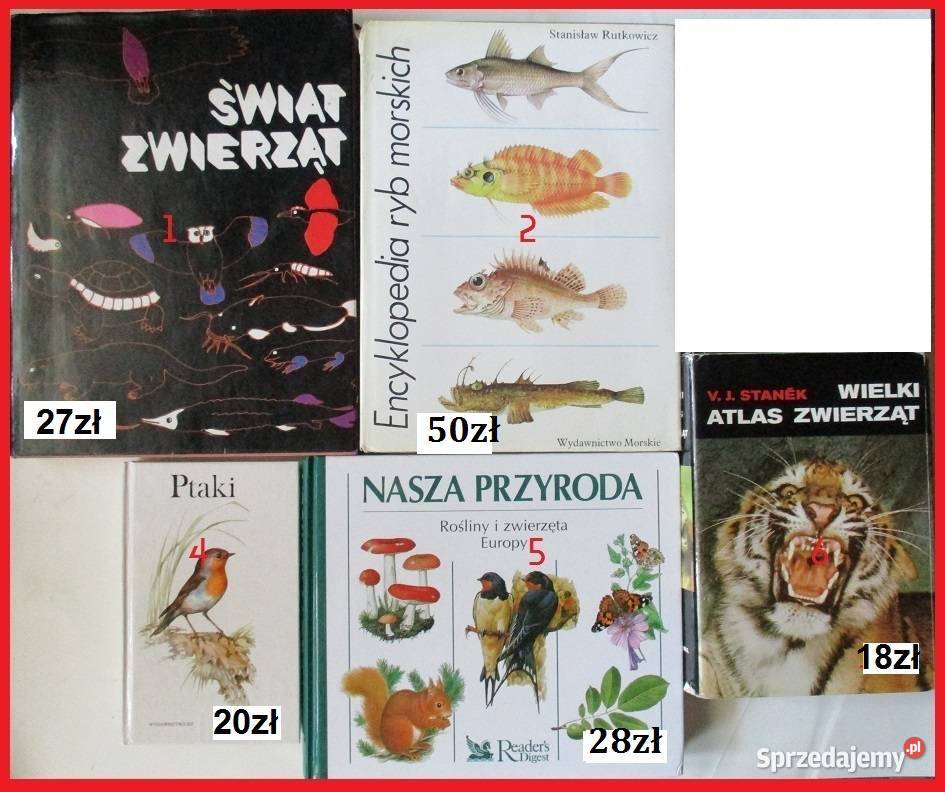 Wielki atlas ryb ryby ptaki dinozaury gady ssaki Łódź sprzedam