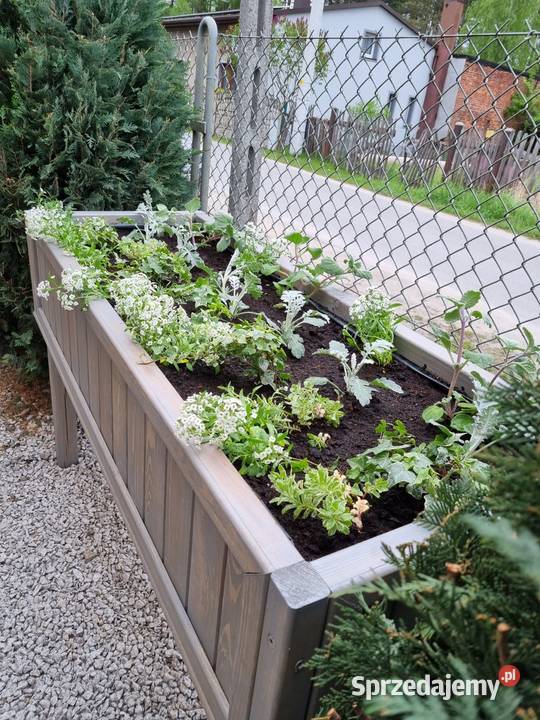 Zielnik na nogach warzywnik skrzynia ogrodowa Kalety sprzedam