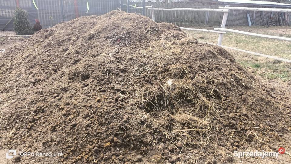 Nawóz koński Łochów