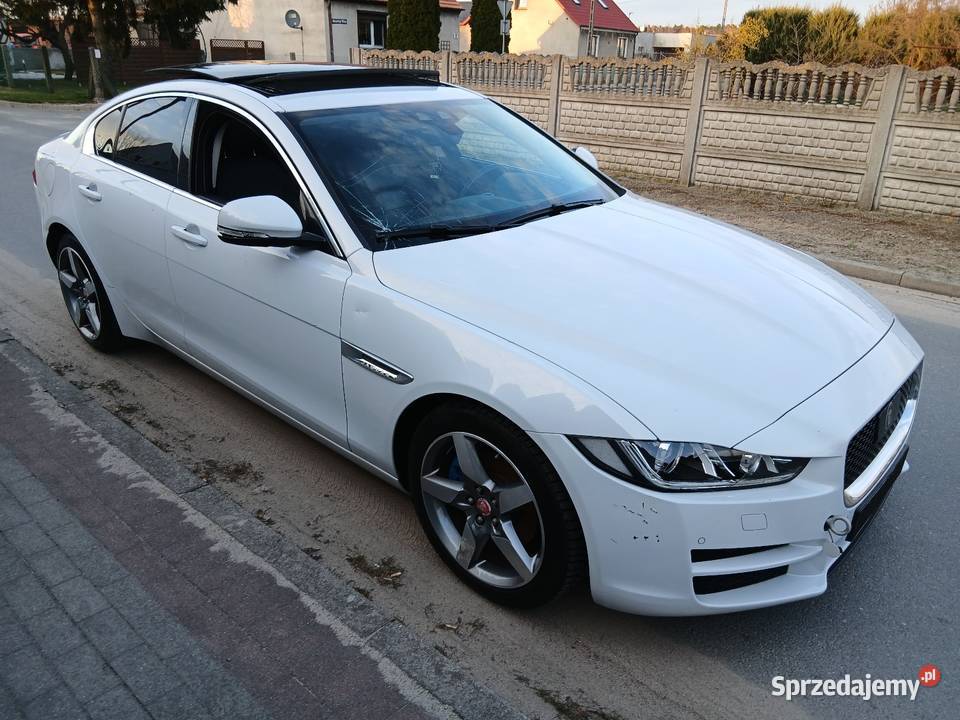 Jaguar XE 20 Panoramadach Automat Biała perła z gniazdo USB Dobrzyca sprzedam