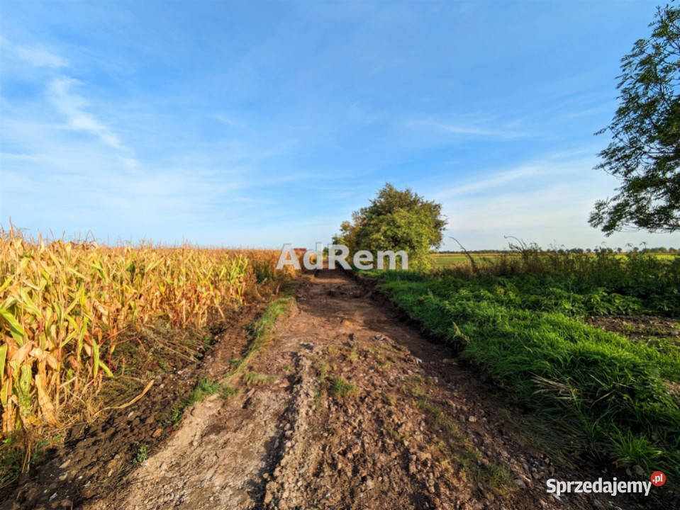 Grunt Sadowice Szkolna 1800m2