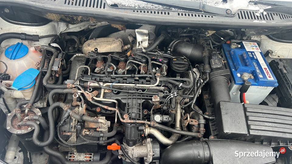 Sprzedam vw Caddy 2012r 16tdi pierwszy właściciel Olszewnica