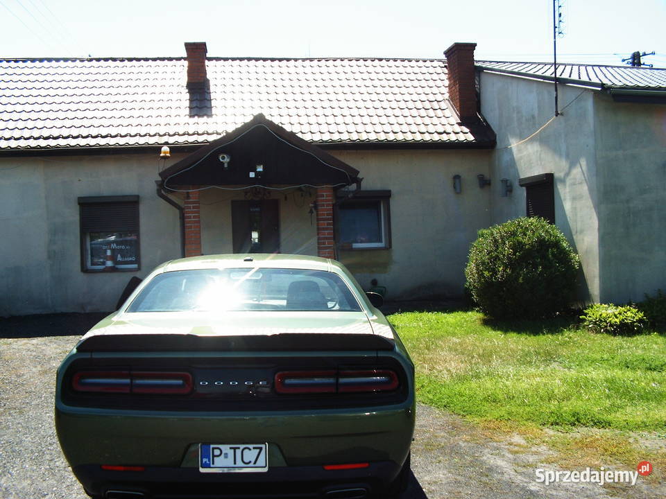 Dodge Challenger 36 GT 2019 r automat aluminiowe felgi wielkopolskie