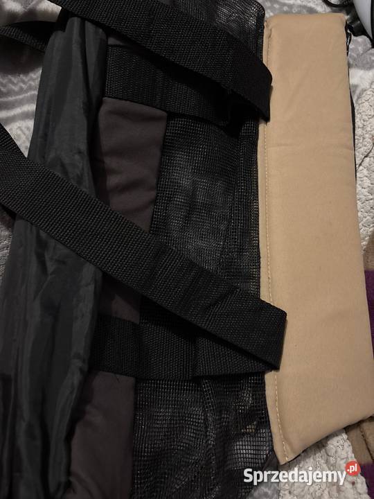 Transporter kota małego