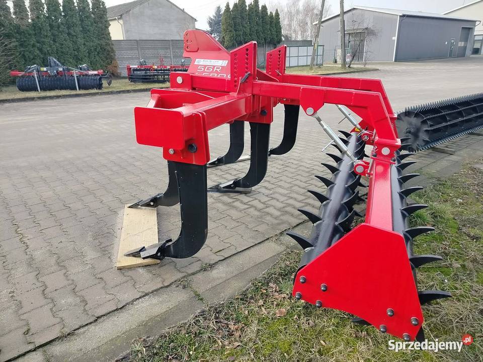 Głębosz 5 łap Września