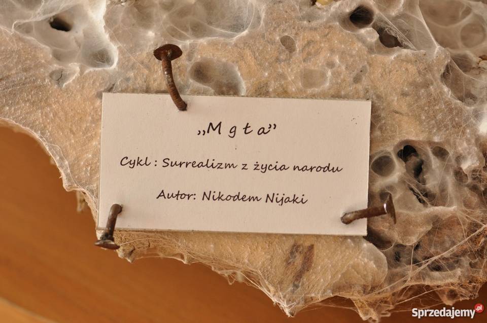 MGŁA Instalacja artystyczna Współczesna wielkopolskie Radzewice