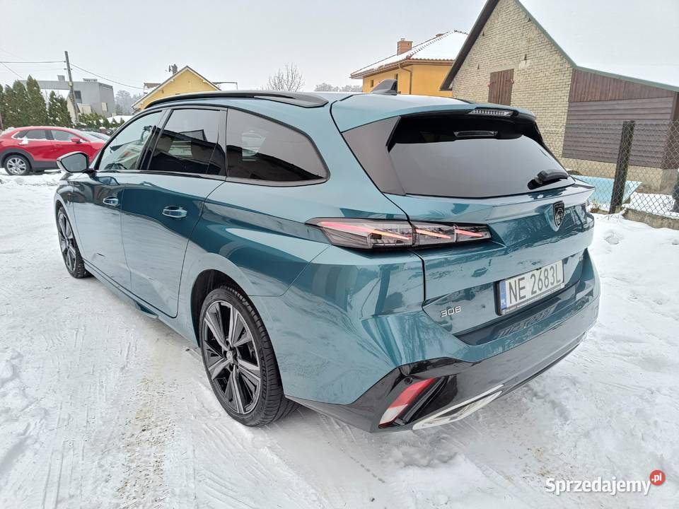 15 Salon 1 Właściciel Najbogatsza wyp Niski 308 Gołaczewy