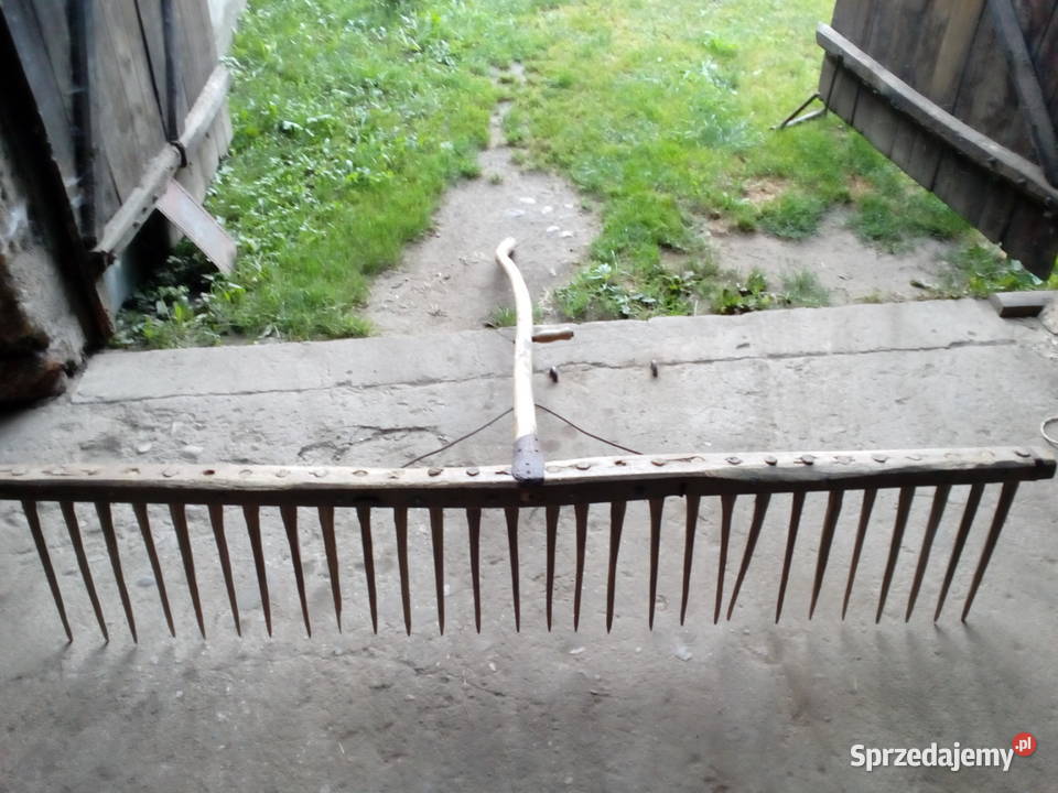 Grabie duze z lat 60 Lipno