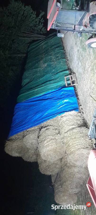Sprzedam siano I słomę z sezonu 2025 Trawy, słoma Ropczyce