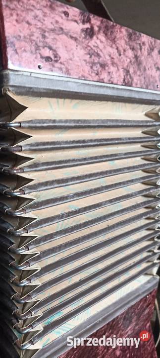 Akordeon Kultura i Rozrywka