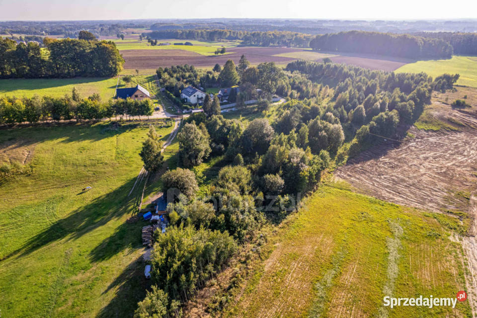 Działka 1010m2 Szemud Grzybowa