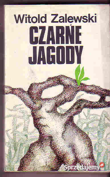 3698 JAGODY WITOLD ZALEWSKI Czyrna