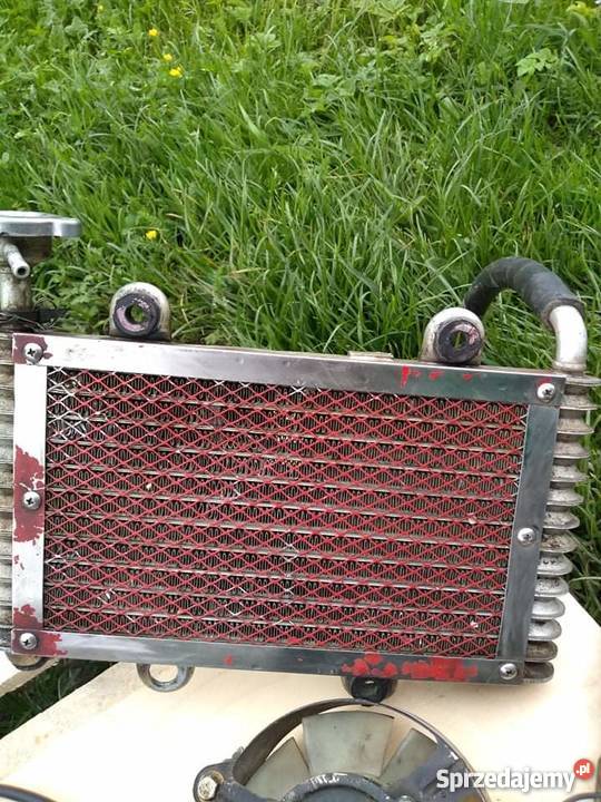 Silnik quad 250cc ciecz sprawny dużo dodatków czterosuwowy podkarpackie sprzedam