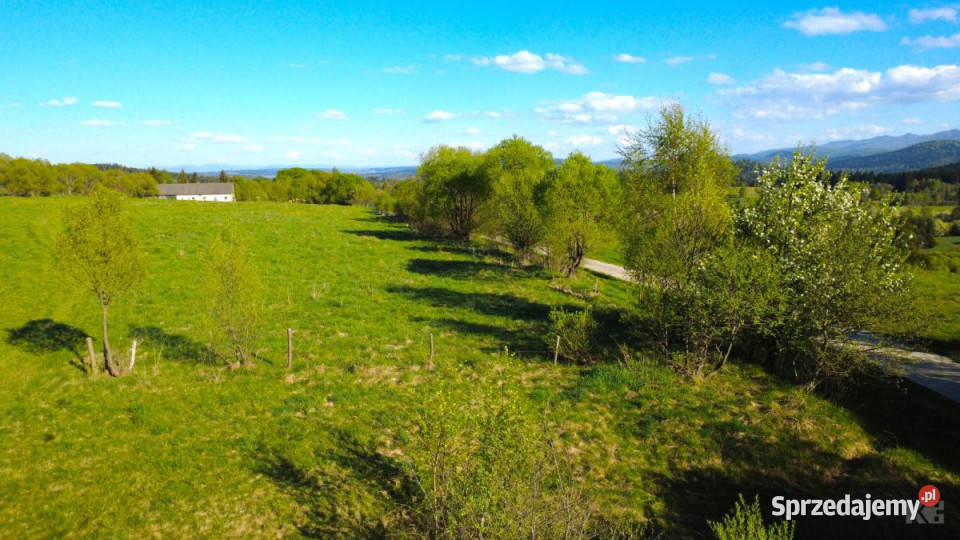 sprzedaży gruntu Lutowiska 23733 metry