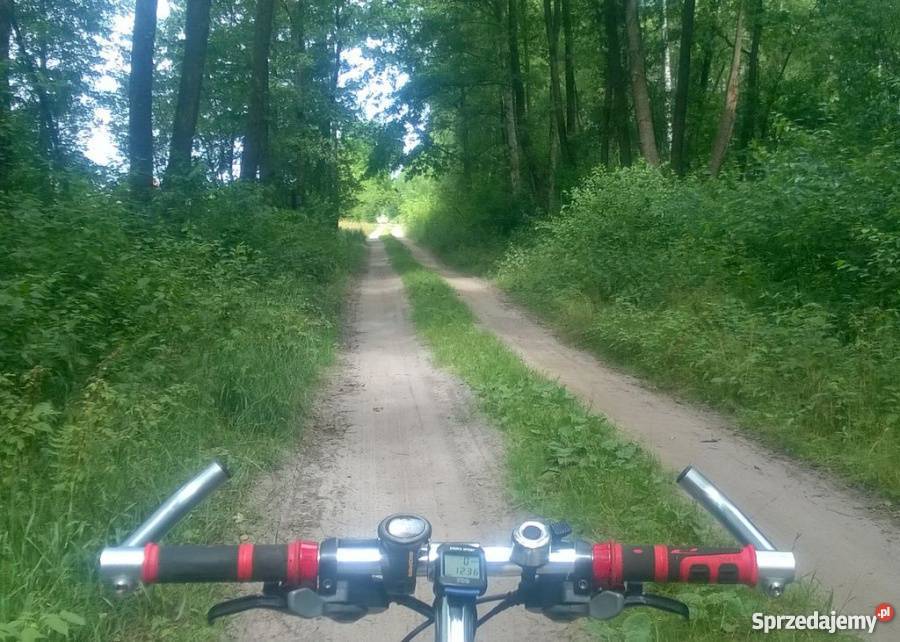 Piękna działka we wsi Kosyń gmina Wola Uhruska lubelskie sprzedam
