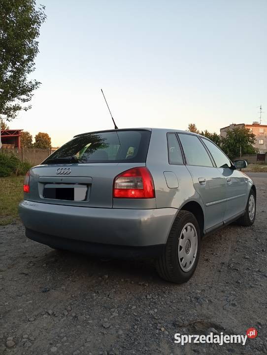 Audi A3 8L 16 MPI 102 5 Drzwi Częstochowa