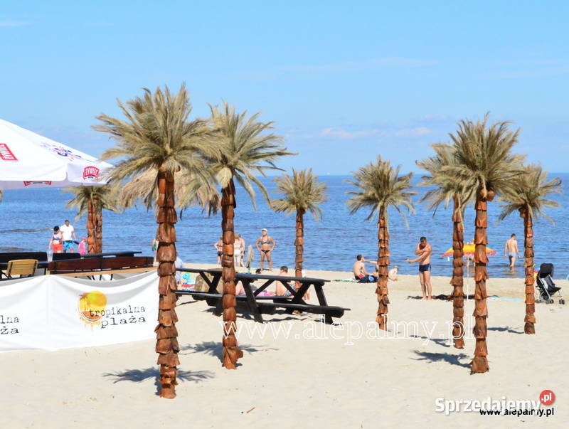 Palma sztuczna Sztuczne drzewka 25m Wąbrzeźno sprzedam