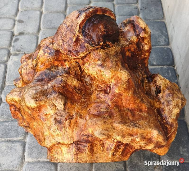 Obrzęk czeczota brzozowa okorowany materiał Ogrzewanie Radzyń Podlaski