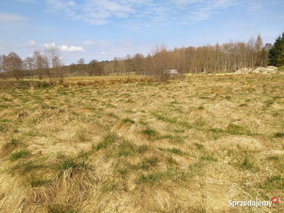 Działka z warunkami zabudowy Chmieleniec