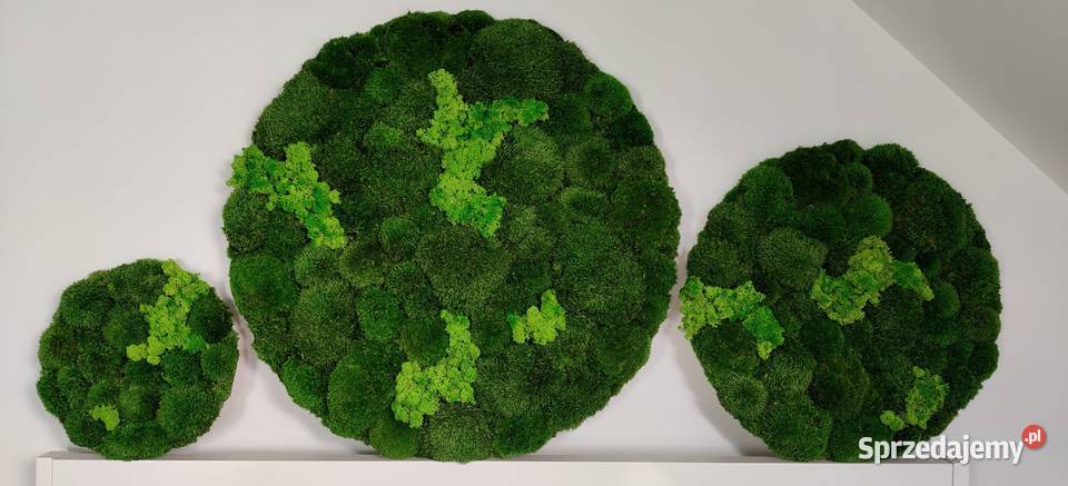 Trzy okrągłe obrazy śr 705030 ogród wertykalny odcienie zieleni Kraków