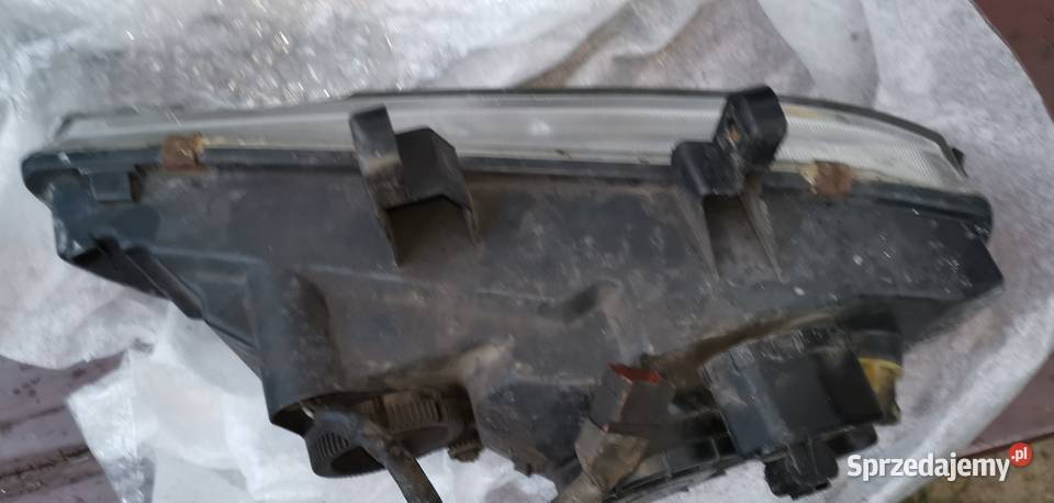 Przednia lampa Rover 600 618 620 623 Świdnik sprzedam