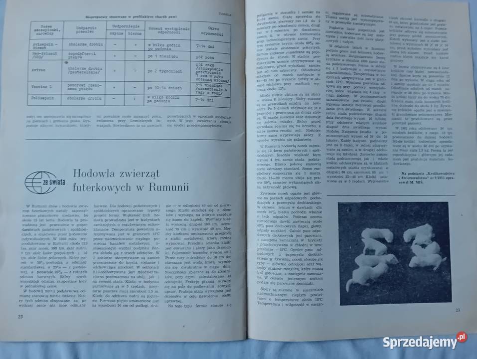 Hodowca Drobnego Inwentarza 12 1983 r Antykwariat Koźminek sprzedam