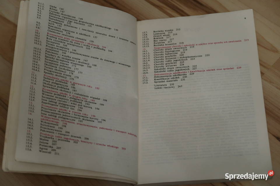 Aleksander Rejman Szkółkarstwo roślin Siedlce