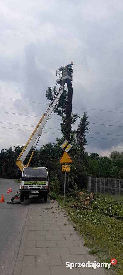 Wycinka przycinka drzew Podnosnik koszowy Rębak małopolskie Skawina