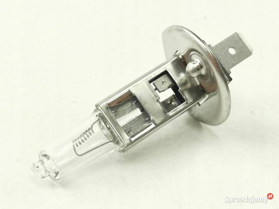 ŻARÓWKA HALOGEN H1 24V 70W MERCEDESBENZ ACTROS