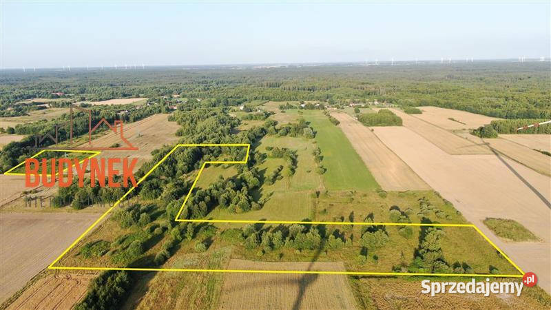Działka siedliskowa Jeżyce sprzedam