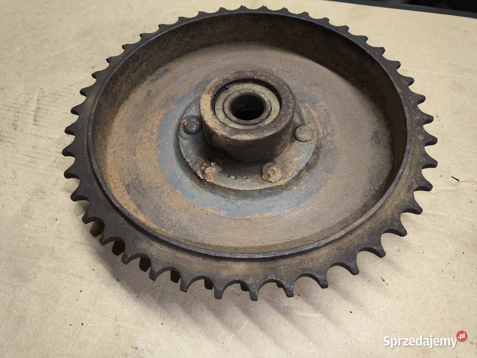 DKW NZ 350 18 zębatka zabierak bęben hamulcowy Lutoryż