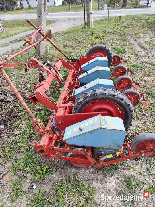 Siewnik do kukurydzy Chełm sprzedam