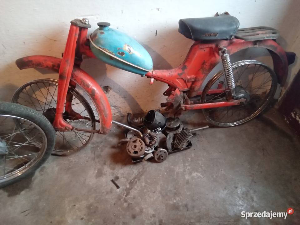 Sprzedam 2 komary wielkopolskie Kłodawa