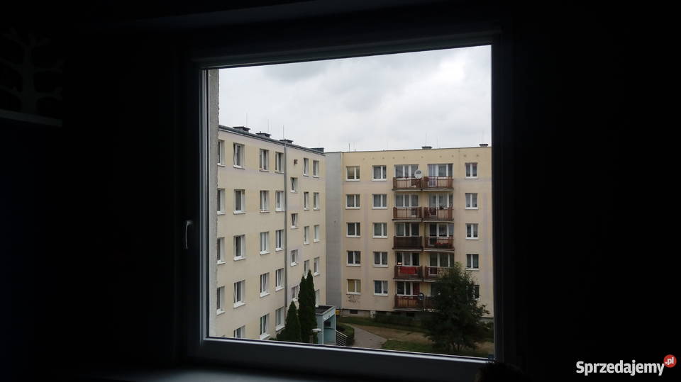 Okno z roletą Dzień Noc Dekorama kujawsko-pomorskie Inowrocław