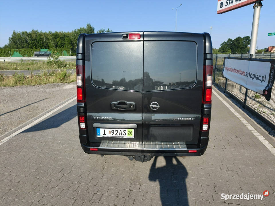 Opel Vivaro ładny Opel Vivaro 2015 Lipówki