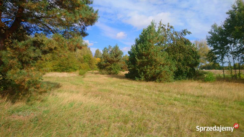 Sprzedam działkę budowlaną o pow 1055m2 z Popielżyn-Zawady sprzedam