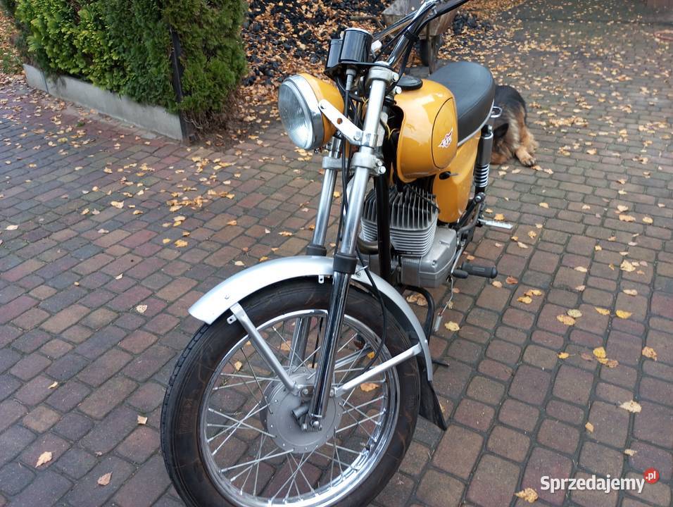 Wsk sport s1 175 nie wfm shl Susz