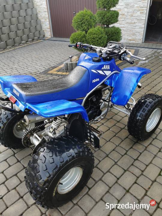 Yamaha Blaster 200 2t Przyszowa