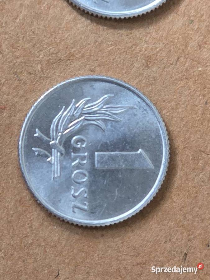Moneta 1 grosz 3 sztuki z 1949r w doskonałym świętokrzyskie Busko-Zdrój