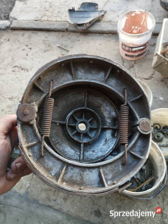 Panonia szczękotrzymacz przód śląskie Jaworzno sprzedam