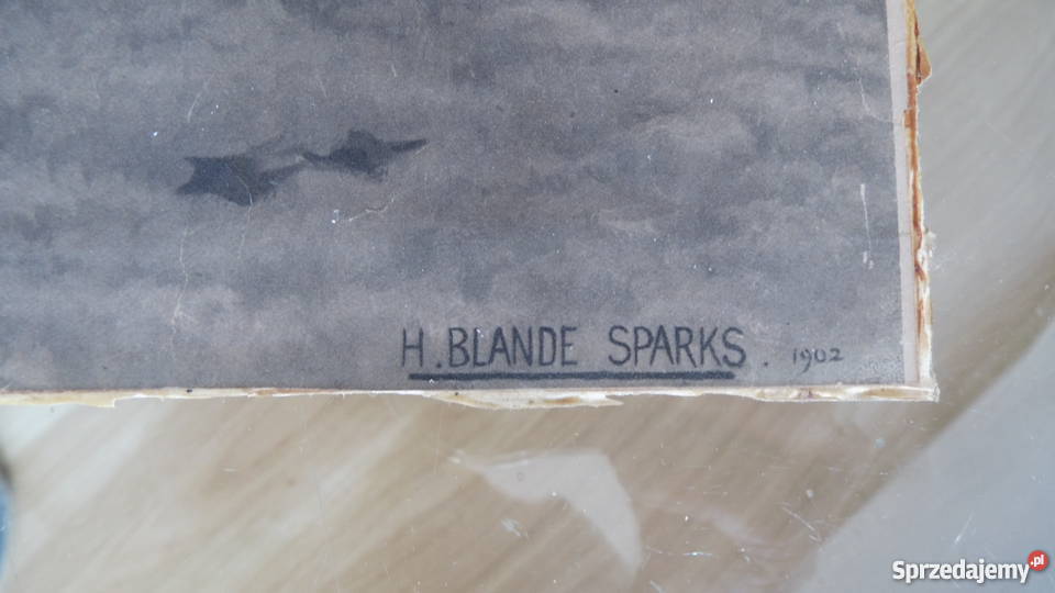 Grafiki reprinty ponad stuletnie Blande Sparks Radzewice sprzedam