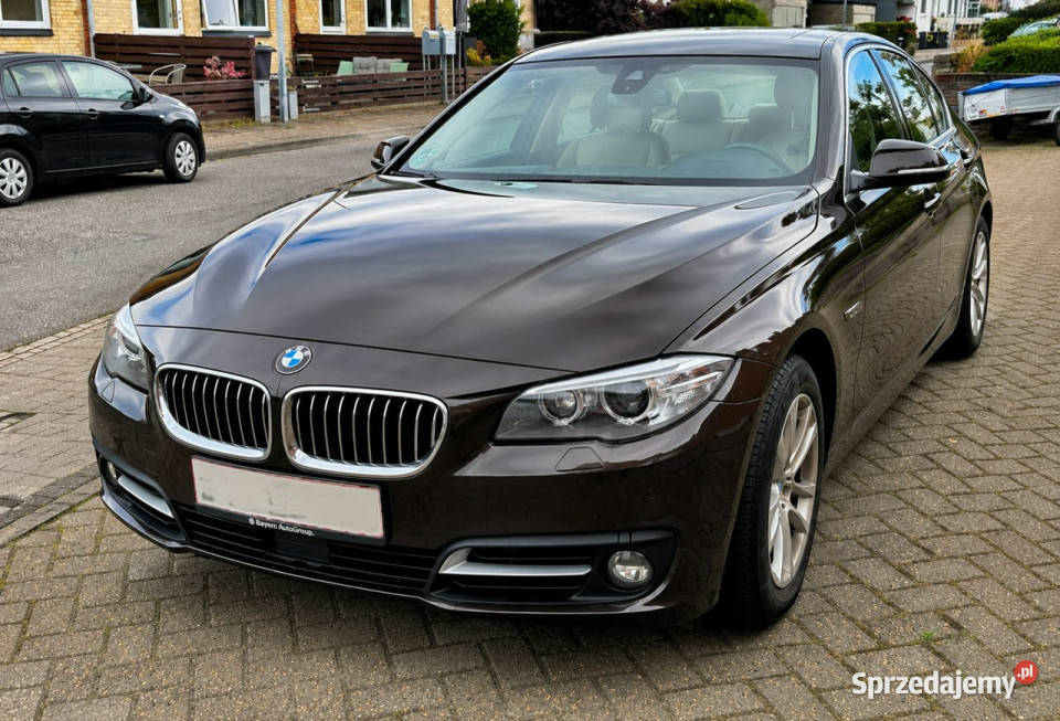 BMW 520 F10 20092017 wielkopolskie Sadlno sprzedam