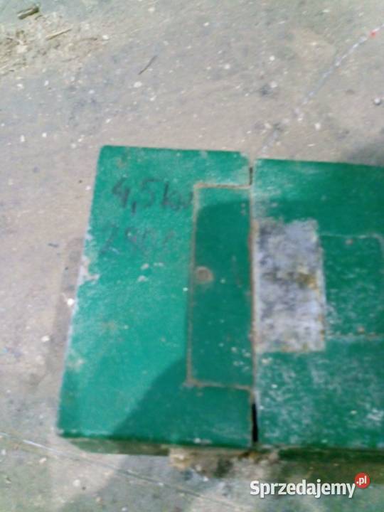 Silnik elektryczny Jamnik 45 kW Strzeszkowice