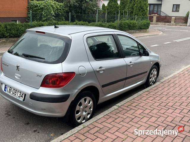 Peugeot 307 XS 2002r benzyna lubelskie Biała Podlaska sprzedam